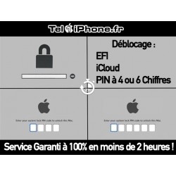 Déblocage mot de passe EFI & iCloud - TelOneiPhone.fr